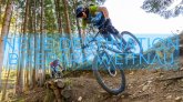 Workshops im Bikepark Weitnau