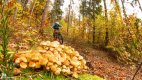 TrailXperience Mountainbike Franken TrailXperience Mountainbike Franken