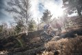 TrailXperience Mountainbike Ätna 360 Das Vulkanabenteuer Bild Moritz Ablinger TrailXperience Mountainbike Ätna 360 Das Vulkanabenteuer Bild Moritz Ablinger