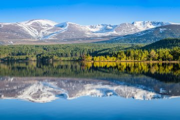 Trailxperience Mountainbike Schottland Cairngorms 