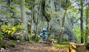 TrailXperience Mountainbike TrailCamp Regensburg