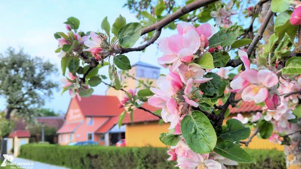 Hotel Bergwirt Franken
