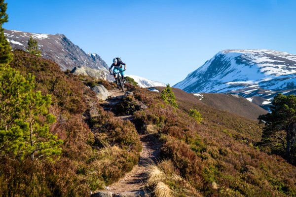 Trailxperience Mountainbike Schottland Cairngorms 