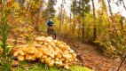 TrailXperience TrailCamp Romantisches Franken