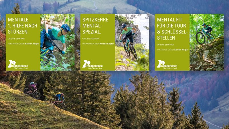 Interaktives Online Seminar mit Mental Coach Kerstin Kögler